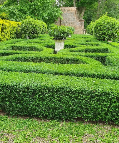 67444764_866570063714914_620906173394059264_o