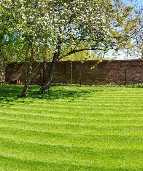 WhatsApp Image 2018-05-07 at 12.30.01