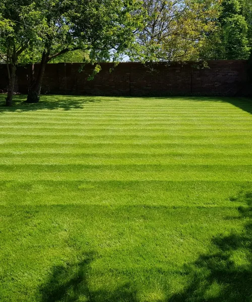 WhatsApp Image 2018-05-19 at 15.48.50