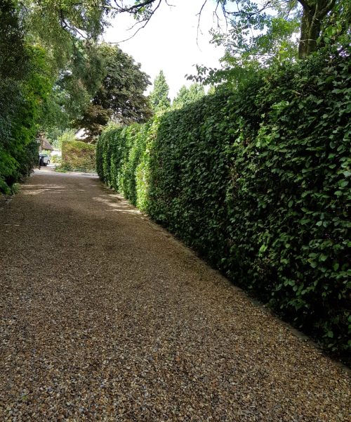 WhatsApp Image 2018-05-24 at 19.34.54